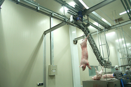 Pig Slaughtering Line in Quality Grading and Traceability