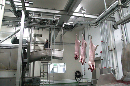 Pig Slaughtering Line in Quality Grading and Traceability
