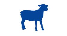 Sheep/Goat Slaughtering Line